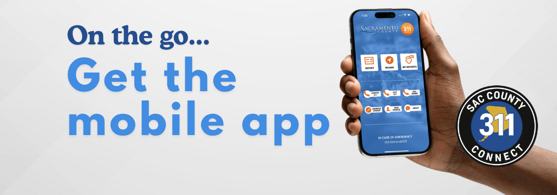 Mobile Apps and Sites 