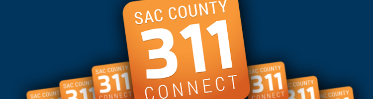 311 Connect
